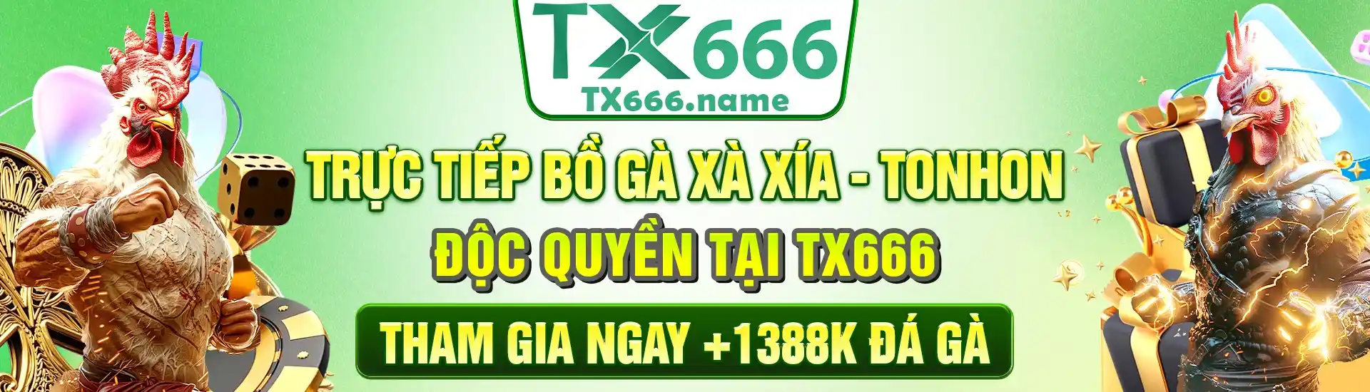 banner-tx666