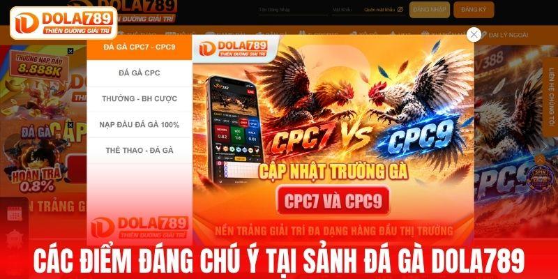 Các điểm đáng chú ý tại sảnh đá gà DOLA789