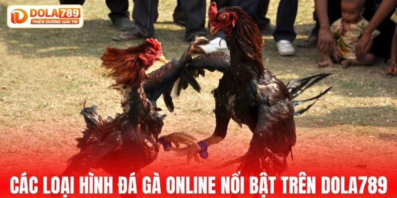 Các loại hình đá gà online nổi bật trên DOLA789
