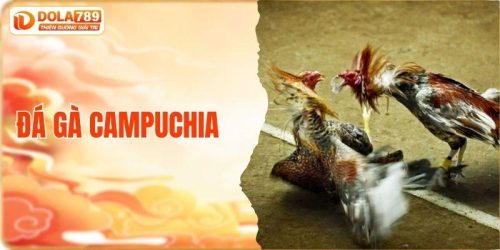 Đá gà Campuchia