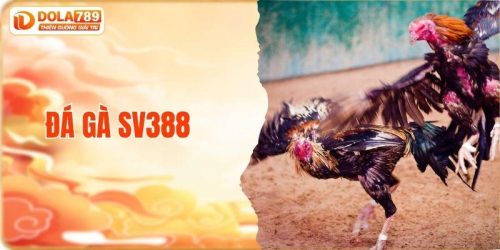 đá gà SV388