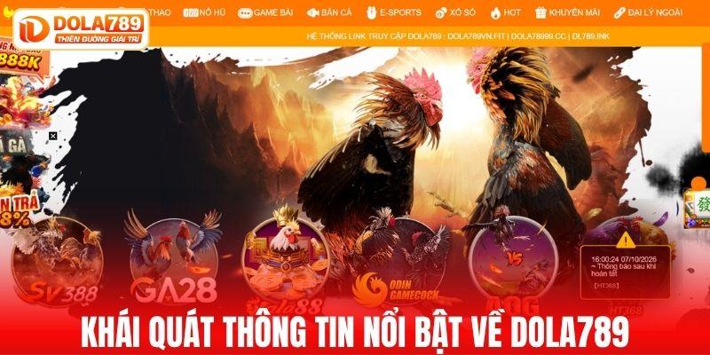 Khái quát thông tin nổi bật về DOLA789