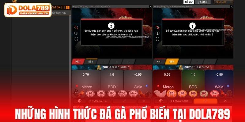 Những hình thức đá gà phổ biến tại DOLA789