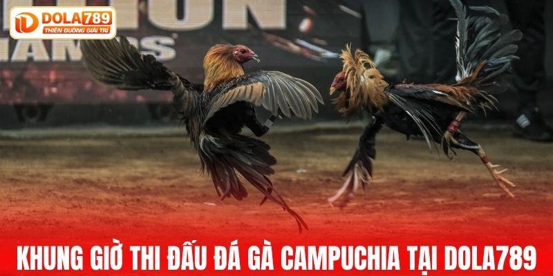 Những khung giờ thi đấu đá gà Campuchia tại DOLA789