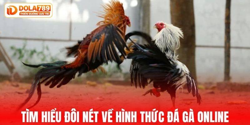 Tìm hiểu đôi nét về hình thức đá gà online